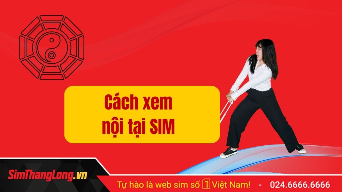 Cách Xem Số Phong Thủy Tìm Hiểu Về Những Điều Quan Trọng Trong Cuộc Sống