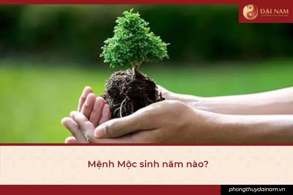 Mệnh Thủy Sinh Năm Nào Những Điều Cần Biết Về Sự Hợp Lý Của Mệnh Nước